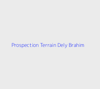 Prospection Terrain  Alger